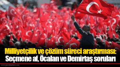 Milliyetçilik ve çözüm süreci araştırması: Seçmene af, Öcalan ve Demirtaş soruları
