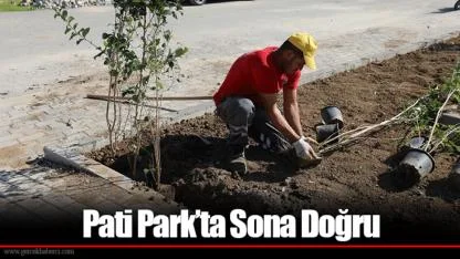 Pati Park’ta Sona Doğru