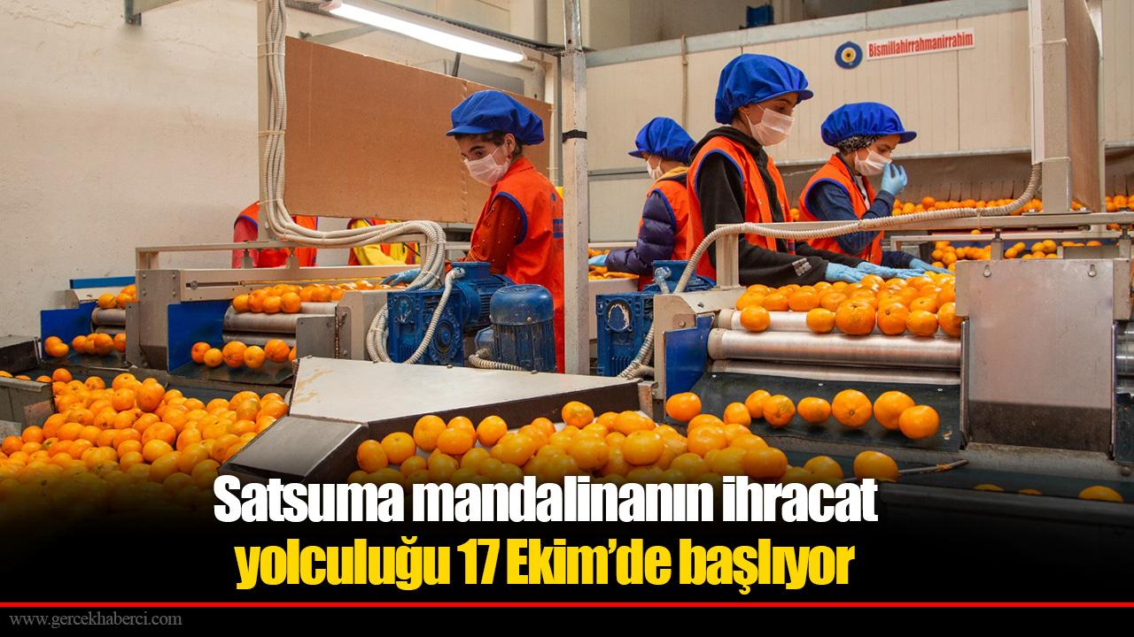 Satsuma mandalinanın ihracat yolculuğu 17 Ekim’de başlıyor