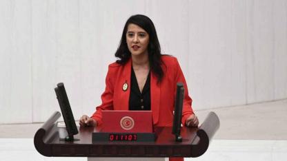 Sevda Karaca’dan Adalet Bakanlığı’na başvuru: Kuyu tiplerinde mahpusların hayatı risk altında