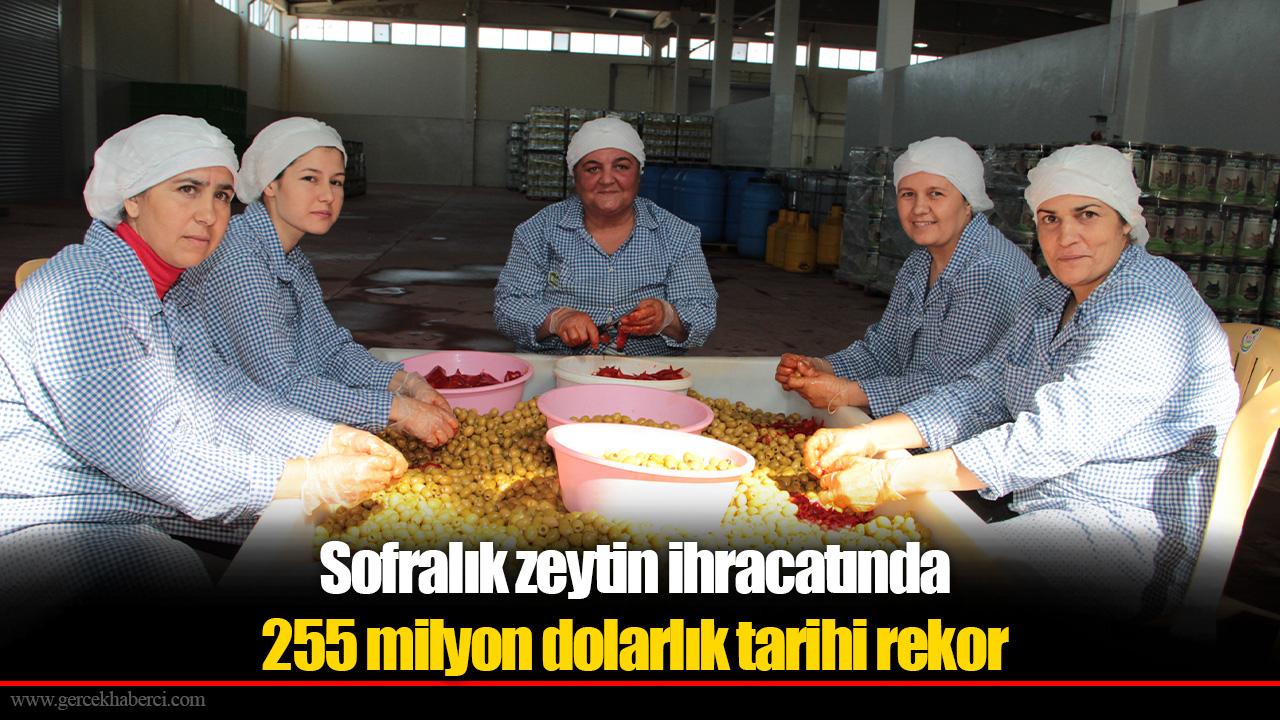 Sofralık zeytin ihracatında 255 milyon dolarlık tarihi rekor