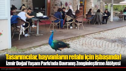Tasarımcılar, hayvanların refahı için işbaşında!