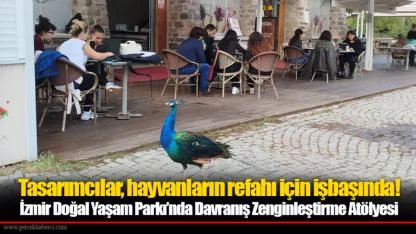 Tasarımcılar, hayvanların refahı için işbaşında!