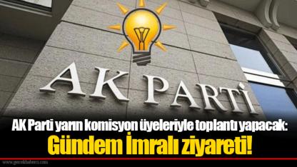 AK Parti yarın komisyon üyeleriyle toplantı yapacak: Gündem İmralı ziyareti!