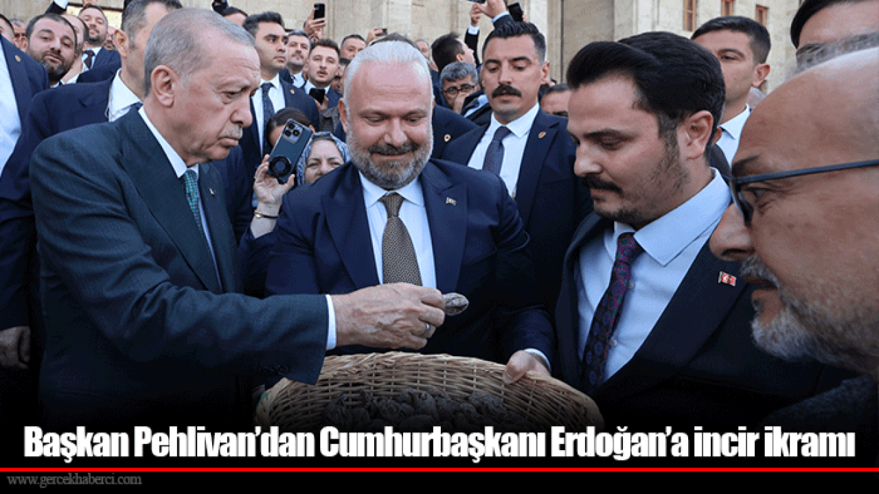 Başkan Pehlivan’dan Cumhurbaşkanı Erdoğan’a incir ikramı