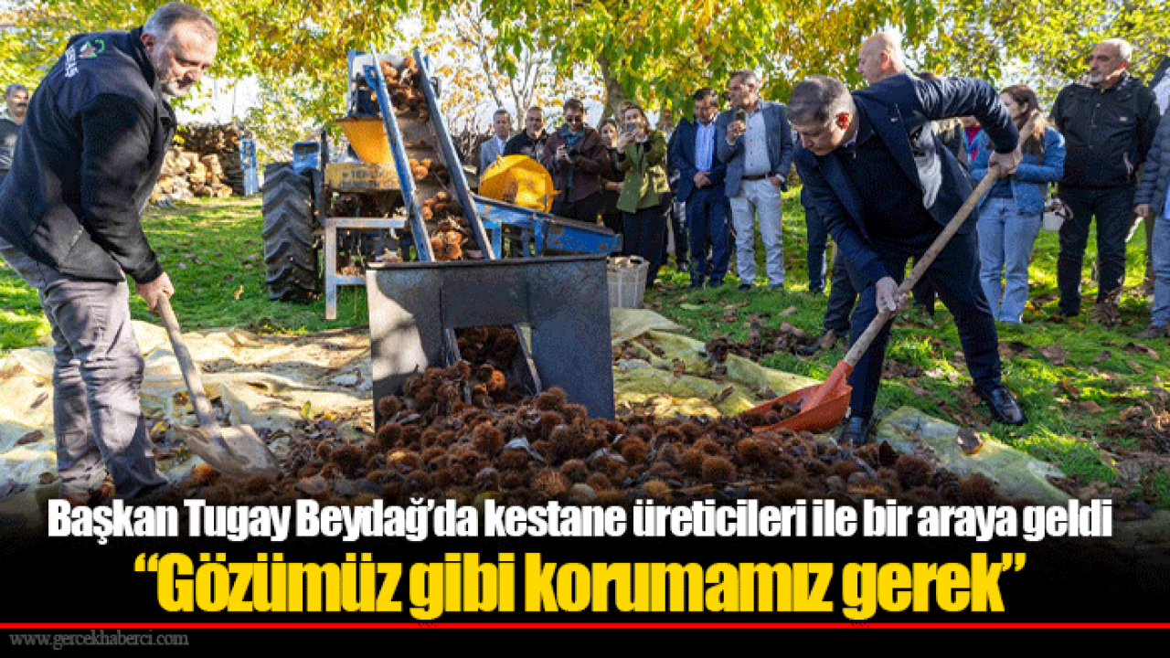 Başkan Tugay Beydağ’da kestane üreticileri ile bir araya geldi “Gözümüz gibi korumamız gerek”