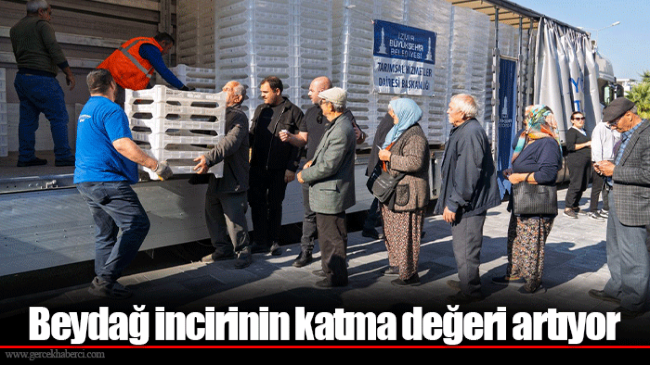 Beydağ incirinin katma değeri artıyor