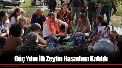 Çağatay Güç: CHP iktidarımızda zeytincilik hak ettiği değeri görecek