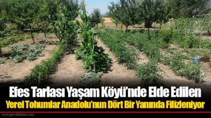 Efes Tarlası Yaşam Köyü’nde Elde Edilen Yerel Tohumlar Anadolu’nun Dört Bir Yanında Filizleniyor