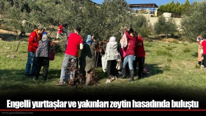 Engelli yurttaşlar ve yakınları zeytin hasadında buluştu