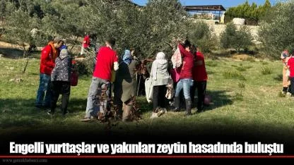 Engelli yurttaşlar ve yakınları zeytin hasadında buluştu