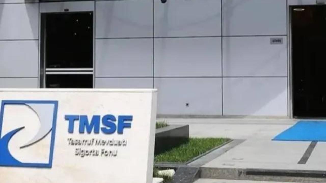 Hat Holding ve Investco Holding&#039;e kayyum