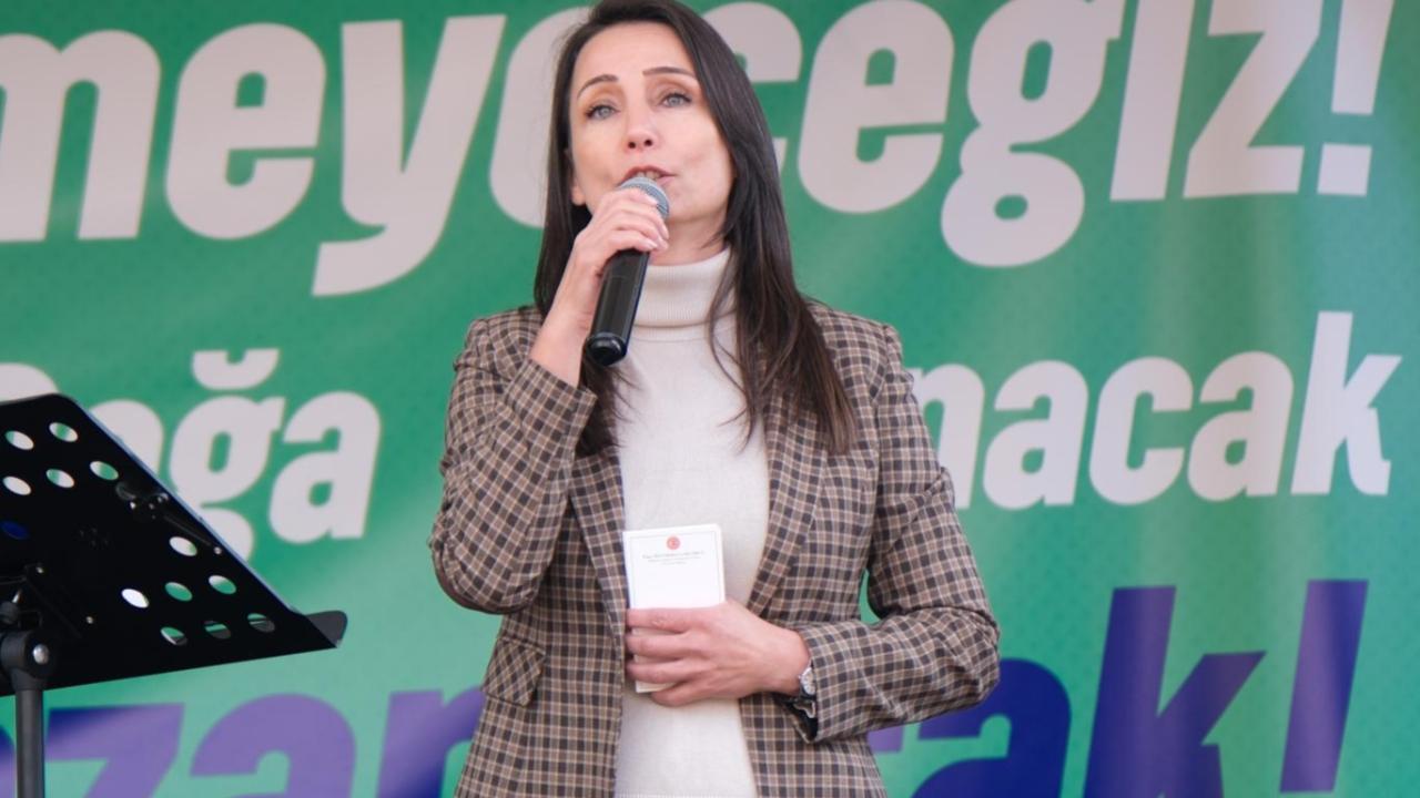 Hatimoğulları: CHP&#039;ye yönelik baskılar süreci sabote etmektedir