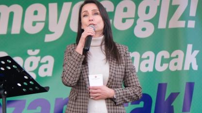 Hatimoğulları: CHP'ye yönelik baskılar süreci sabote etmektedir