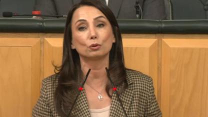 Hatimoğulları'ndan İmralı çağrısı: Devletin gittiği yere siyaset neden gitmesin?