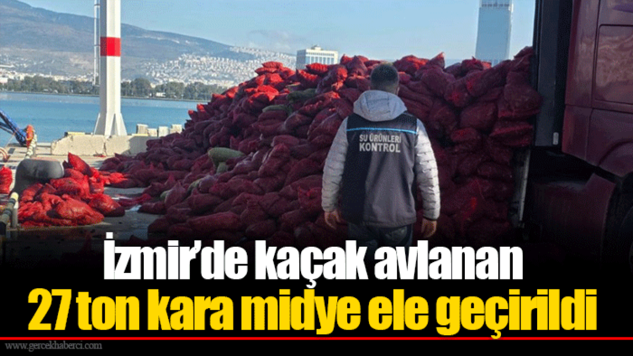 İzmir’de kaçak avlanan 27 ton kara midye ele geçirildi