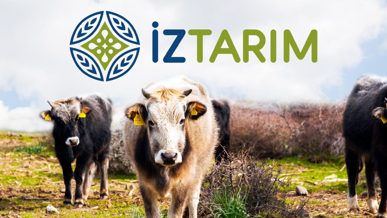 İZTARIM&#039;da Sayıştay Raporu Lüks Harcamaları ve Kayıp Cihazları Ortaya Çıkardı