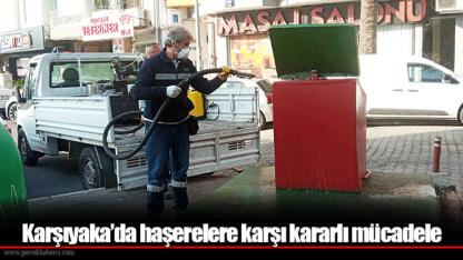 Karşıyaka’da haşerelere karşı kararlı mücadele