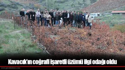 Kavacık’ın coğrafi işaretli üzümü ilgi odağı oldu