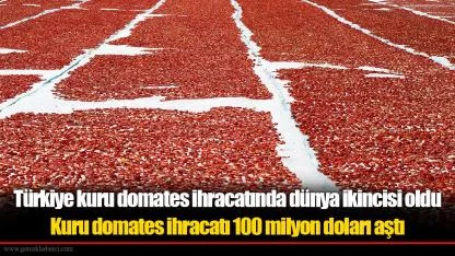 Kuru domates ihracatı 100 milyon doları aştı