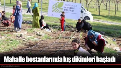 Mahalle bostanlarında kış dikimleri başladı