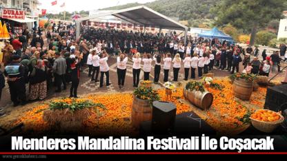 Menderes Mandalina Festivali İle Coşacak