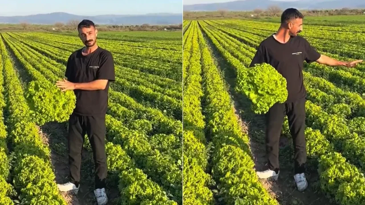 &#039;Satarsam şerefsizim&#039; dedi, isyanı pahalıya patladı