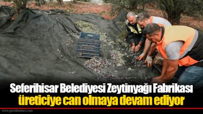 Seferihisar Belediyesi Zeytinyağı Fabrikası üreticiye can olmaya devam ediyor