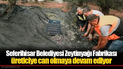 Seferihisar Belediyesi Zeytinyağı Fabrikası üreticiye can olmaya devam ediyor