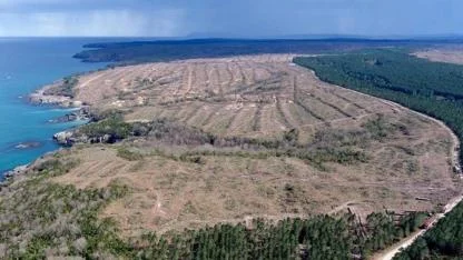 Sinop NGS plan değişikliği davası: Danıştay, ÇED kararını bekleyecek