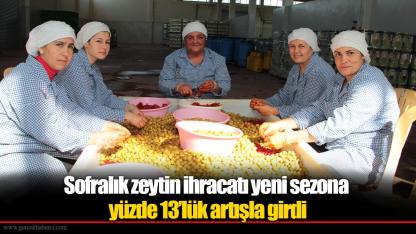 Sofralık zeytin ihracatı yeni sezona yüzde 13’lük artışla girdi