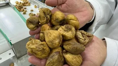 Türk organik sektörü, Çin’le iş birliklerini artırmak istiyor