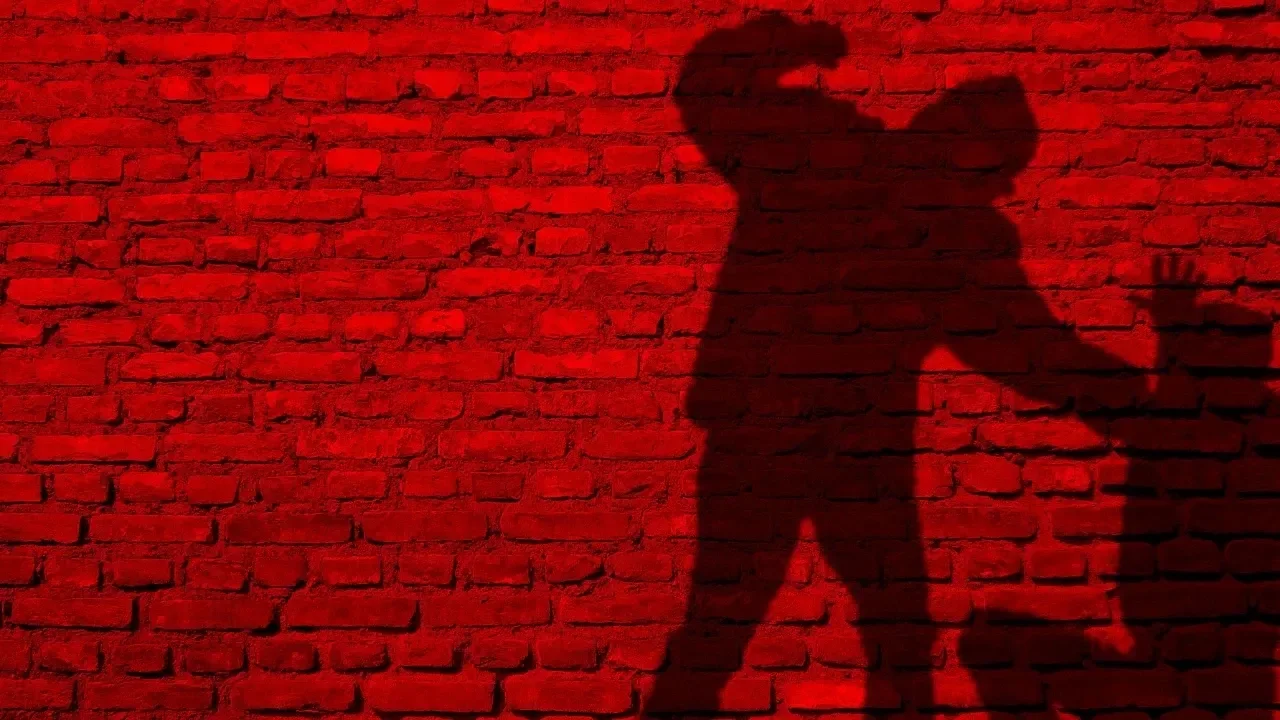 Türkiye&#039;de şiddet haberleri 3 Kasım&#039;da pik yaptı