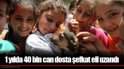 1 yılda 40 bin can dosta şefkat eli uzandı