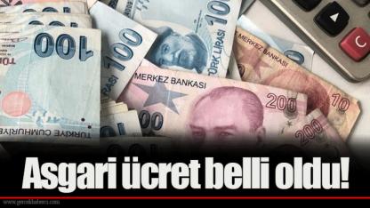 Asgari ücret belli oldu!
