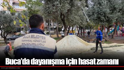 Buca’da dayanışma için hasat zamanı