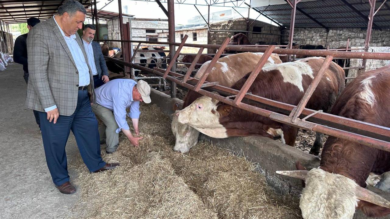 CHP’li Gürer: “Asgari ücret cebe girmeden et fiyatı arttı”