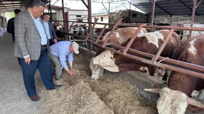 CHP’li Gürer: “Asgari ücret cebe girmeden et fiyatı arttı”