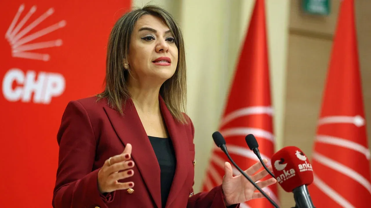 CHP'li Taşcıer'den Bakan Işıkhan'a 'asgari ücret' tepkisi: "Ziyaretleri telaşın bir sonucu"