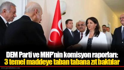 DEM Parti ve MHP'nin komisyon raporları: 3 temel maddeye taban tabana zıt baktılar