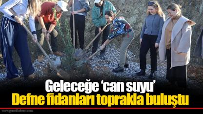 Geleceğe ‘can suyu’ Defne fidanları toprakla buluştu