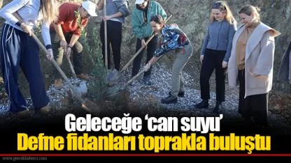 Geleceğe ‘can suyu’ Defne fidanları toprakla buluştu