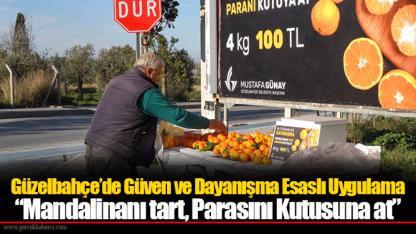 Güzelbahçe’de Güven ve Dayanışma Esaslı Uygulama “Mandalinanı tart, Parasını Kutusuna at”