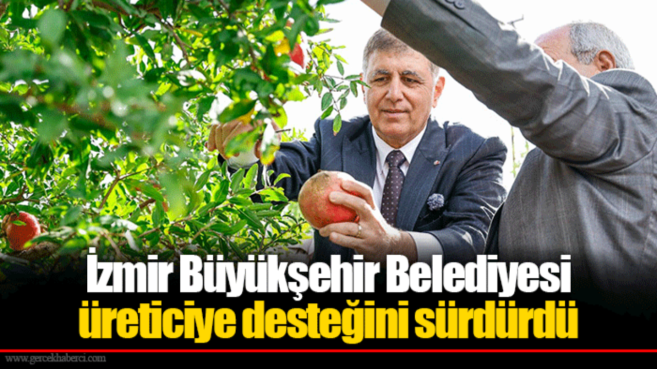 İzmir Büyükşehir Belediyesi üreticiye desteğini sürdürdü