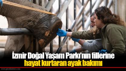 İzmir Doğal Yaşam Parkı’nın fillerine hayat kurtaran ayak bakımı
