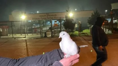 Tahliyeleri beyaz güvercinle karşıladılar