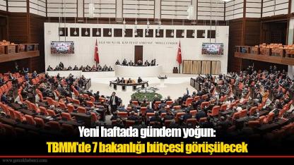 Yeni haftada gündem yoğun: TBMM'de 7 bakanlığı bütçesi görüşülecek