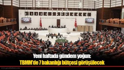 Yeni haftada gündem yoğun: TBMM'de 7 bakanlığı bütçesi görüşülecek