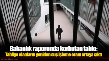 Bakanlık raporunda korkutan tablo: Tahliye olanların yeniden suç işleme oranı ortaya çıktı