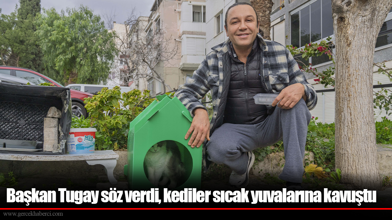 Başkan Tugay söz verdi, kediler sıcak yuvalarına kavuştu